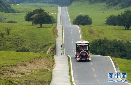 （美麗中國(guó)）（1）重慶武?。罕苁钚蓍e游升溫