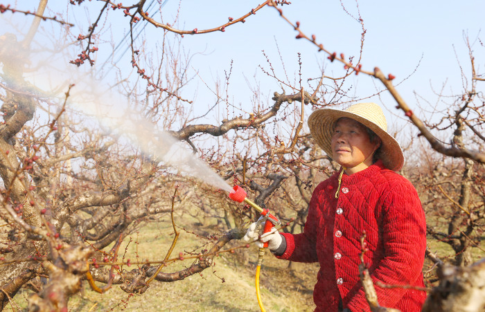 夏縣:春日田園農(nóng)事忙-45154.jpg 夏縣:春日田園農(nóng)事忙-45154.jpg