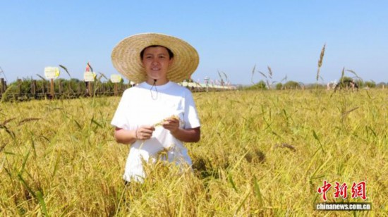 全國人大代表、寧安市渤海鎮(zhèn)上官地村黨支部書記、村委會主任陳雨佳在稻田中。 受訪者供圖